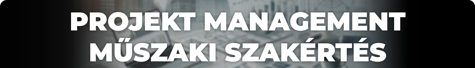 PROJEKT MANAGEMENT MUSZAKI SZAKERTES